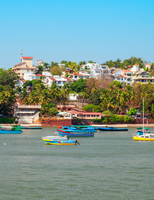 Dona Paula