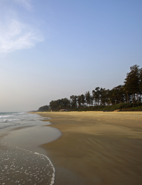 Benaulim Beach